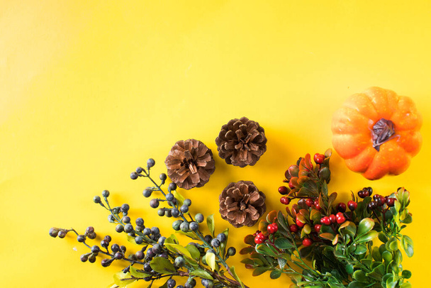 Autumn background with cones, pumpkins and autumn berries. Copy space. - Photo, Image