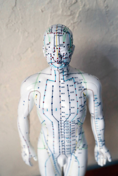 Hagyományos kínai orvostudomány. Egy férfi modell jelölt akupunktúrás pontokkal.  - Fotó, kép
