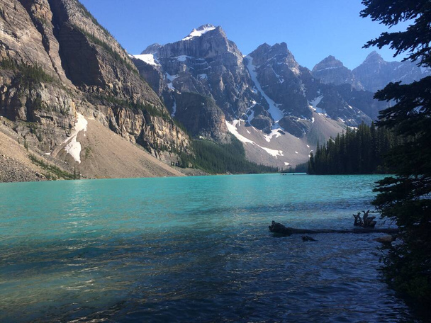 Área del Lago Moraine en el Parque Nacional Banff  - Foto, Imagen