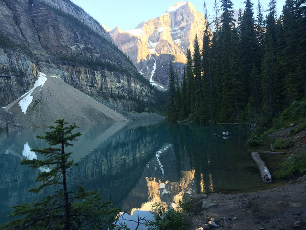 Área del Lago Moraine en el Parque Nacional Banff  - Foto, imagen