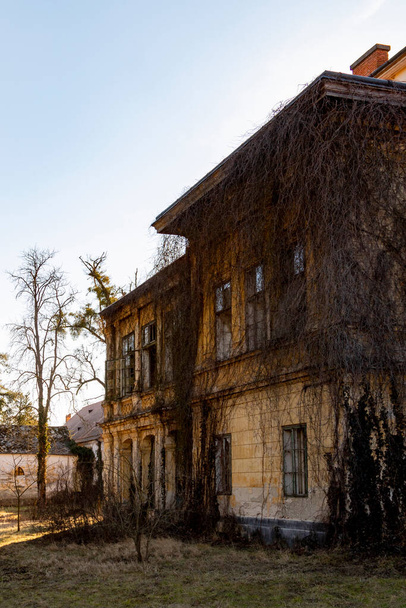 abandoned house in the city with bare twigs - Φωτογραφία, εικόνα