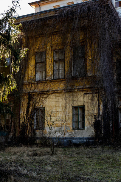 old abandoned house in the village - Photo, image