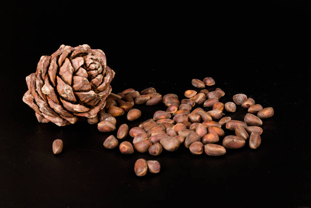 Cedar nuts in the shell with  unopened cones isolated on the black background - Фото, изображение