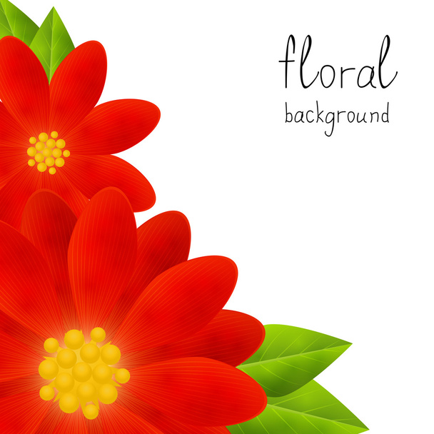 Red floral background - Вектор, зображення