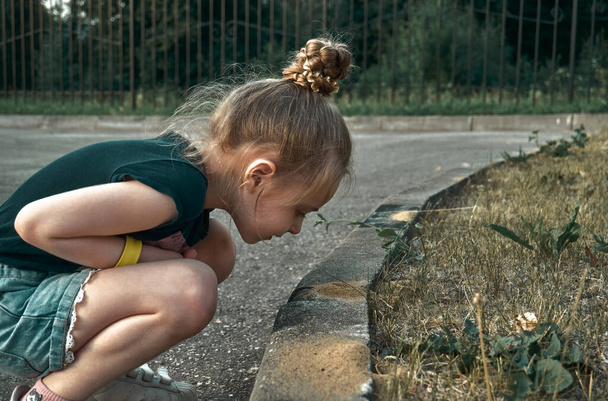 The girl is a child in shorts and a T-shirt, squats and examines the anthill on the curb and lawn. - 写真・画像