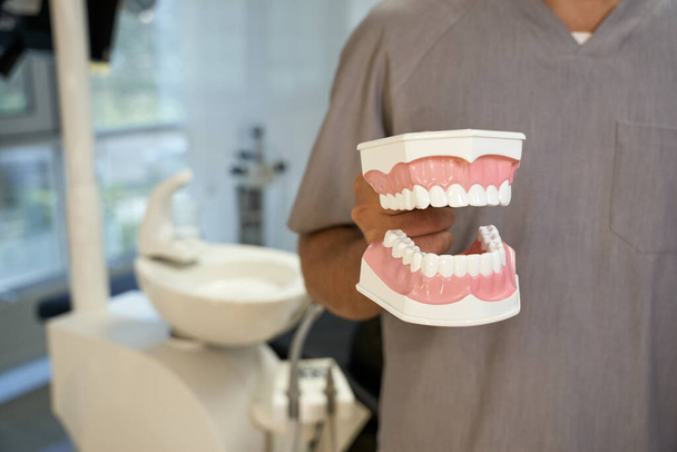 Technicien dentaire posant avec réplique de dents - Photo, image