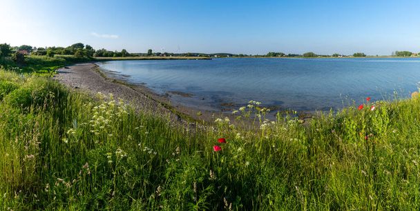 Paisaje panorámico de una pequeña laguna oceánica con una playa de arena y un prado de flores silvestres bajo un cielo azul - Foto, Imagen