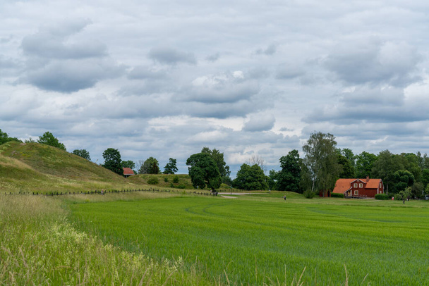 Geniş buğday tarlaları ve kırmızı çiftlik evleriyle tipik İsveç kırsal arazisi - Fotoğraf, Görsel