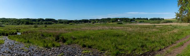panorama of river and heath landscape in Rebild National Park in northern Denmark - Foto, afbeelding