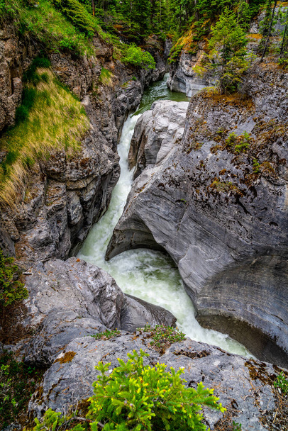 Река Малинье в каньоне Малинье вниз по течению Первого моста в Национальном парке Джаспер Скалистых гор, Альберта, Канада - Фото, изображение