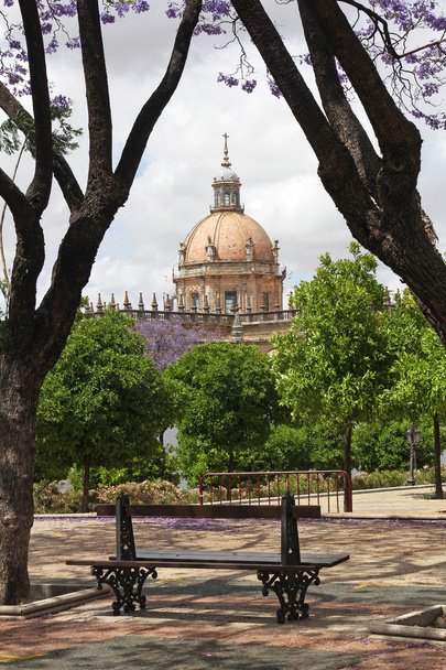 Banco de Parque con Catedral en Jerez de la Frontera, España
 - Foto, Imagen