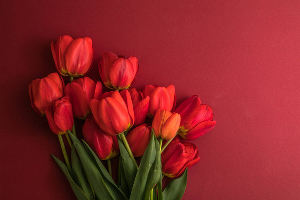 Творче планування з квітів тюльпанів на яскраво-червоному тлі. Пласка лежала. Весняна мінімальна концепція
. - Фото, зображення