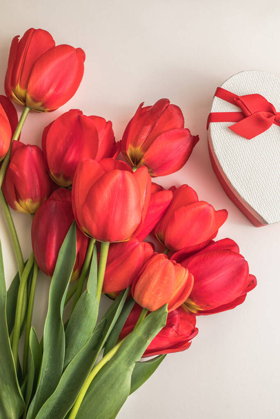 Tvůrčí rozložení z tulipánových květin na jasně bílém pozadí. Ležel. Minimální koncepce jara. - Fotografie, Obrázek