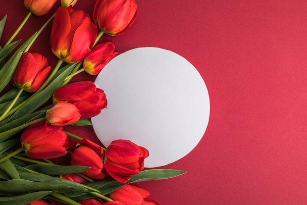 赤い背景に丸い空白のグリーティングカードのモックアップシーンと赤いチューリップ。フラットレイアウト、トップビュー、テキストのコピースペース。花の構成。春の時間概念. - 写真・画像