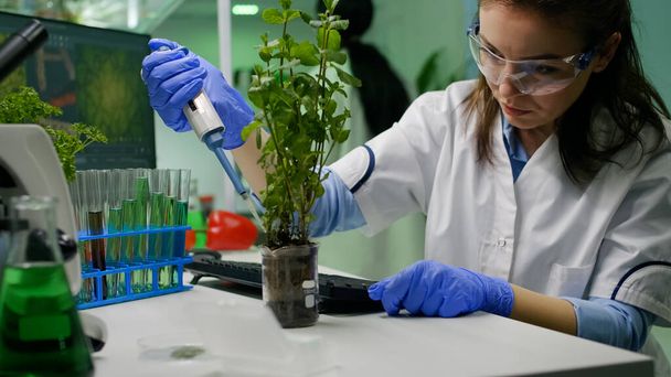Biochemicus wetenschappelijke het nemen van groene vloeistof met micropieptte puttin op jonge boompjes - Foto, afbeelding