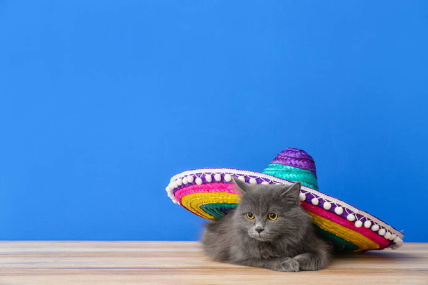 Gato bonito com sombrero no fundo de cor - Foto, Imagem