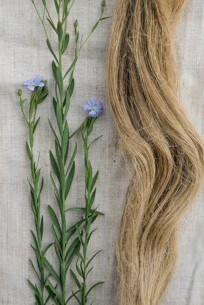 Flax blooming stalks and flax tow on a linen cloth. Natural fabric concept. Vertical image. - Photo, Image