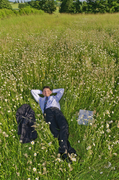 Businessman in suit is on a flowery meadow and relaxed - Foto, Bild