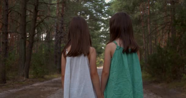 Two beautiful girls walking in the woods - Footage, Video
