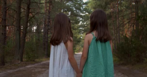 Due belle ragazze che camminano nel bosco - Filmati, video