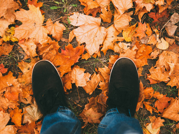 pies de hojas de otoño vista superior - Foto, Imagen