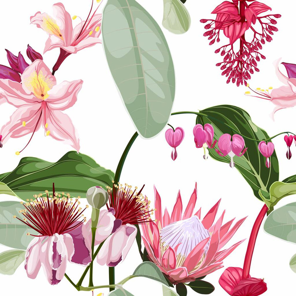 Fondo de patrón sin costuras con flores feijoa y muchas flores tropicales exóticas rosadas sobre fondo blanco. - Vector, imagen