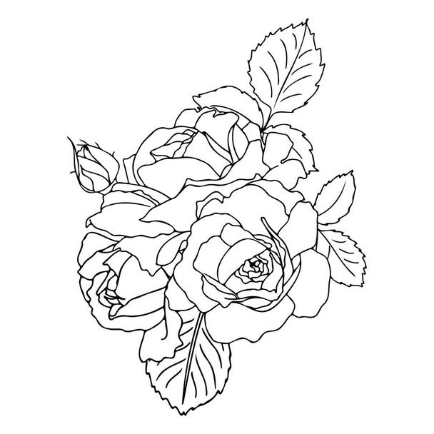 Vector met de hand getekend boeket rozen in een lineaire stijl. Zwarte omtrek zonder vulling. Bloemen arrangement voor bruiloft ontwerp, kaarten, enveloppen, verpakking. - Vector, afbeelding