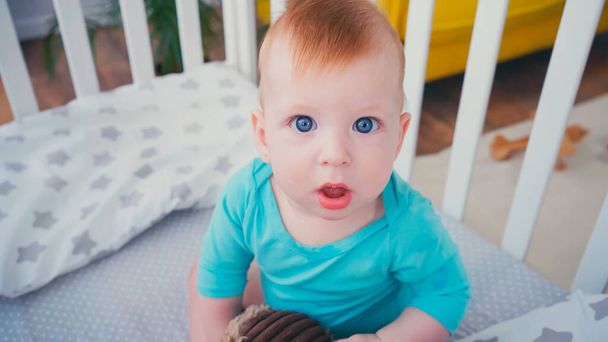 high angle view of surprised baby boy looking at camera and playing with soft toy in blurred crib  - Photo, Image