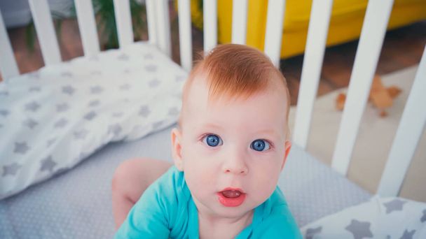 high angle view of baby boy looking at camera and playing with soft toy in blurred crib  - Photo, image