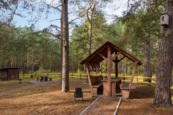 Recreation area with a playground in the forest near the road. Autumnal pine forest landscape. Coniferous woodland. Rest zone. - Photo, Image