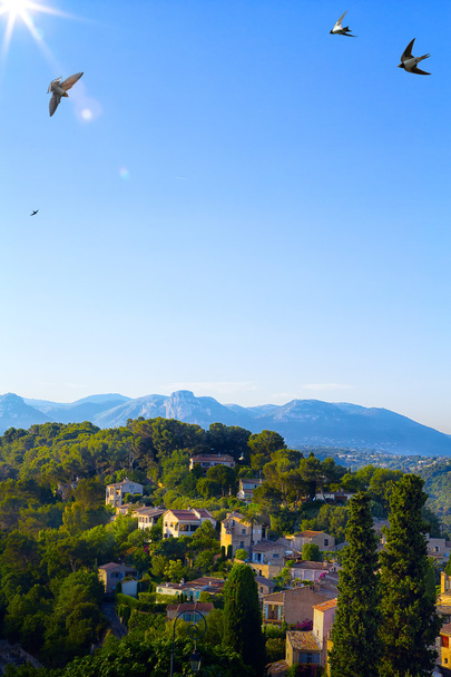 kunst prachtige landschap in de provence - Foto, afbeelding
