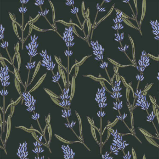 Vector illustration lavender branch - vintage engraved style. Seamless pattern in retro botanical style - Vector, Image