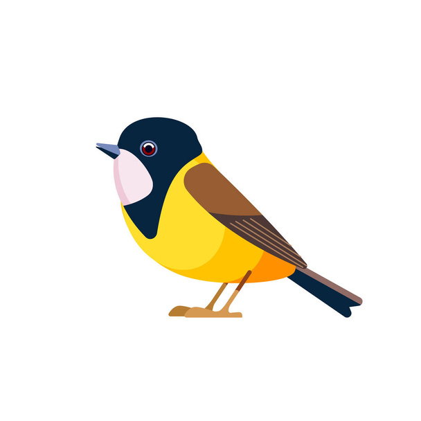 Golden whistler or Australian golden whistler, is a species of bird found in a forest, woodland, mallee, mangrove in Australia. Cartoon, flat character of ornithology, vector illustration isolated - Vector, Image