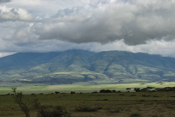 vista panorámica de árboles verdes cerca de la colina contra el cielo nublado - Foto, Imagen