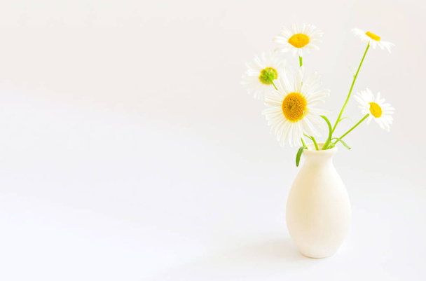 花の構成。白い背景の土の花瓶に白いデイジーと高いキー写真。プロジェクトの自然光テンプレート. - 写真・画像