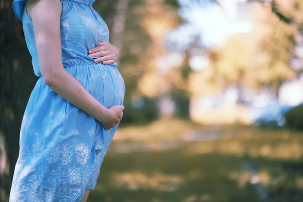 Fille enceinte dans une robe dans la nature sur un wal - Photo, image