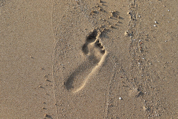 Voetafdrukken in het zand aan de oevers van de Middellandse Zee in het noorden van Israël. Hete zomer in Israël.  - Foto, afbeelding