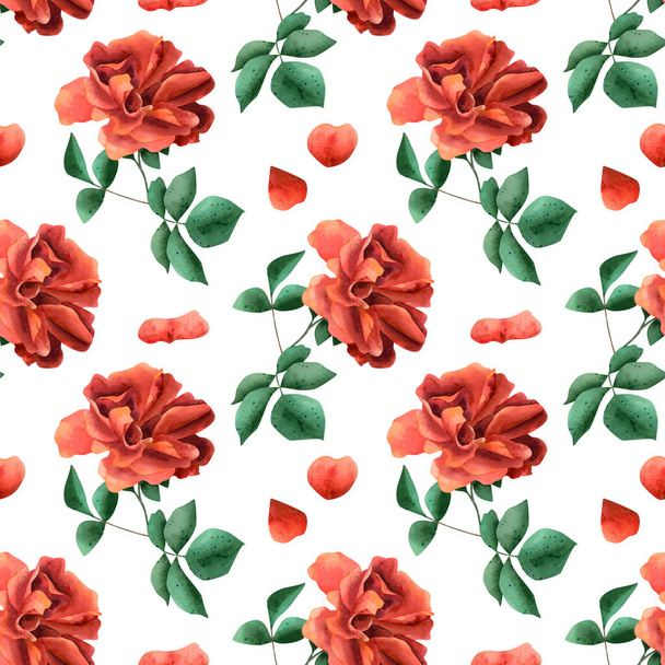 Wzór czerwonych róż bez szwu. Akwarela botaniczna ilustracja z jasnymi ciepłymi kwiatami i zielonymi liśćmi. Tekstura tapet i tekstyliów - Zdjęcie, obraz