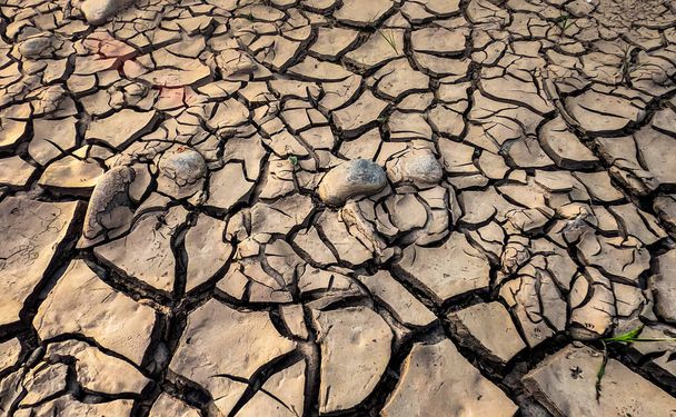 Dry cracked earth on the bank of a mountain river - Photo, Image