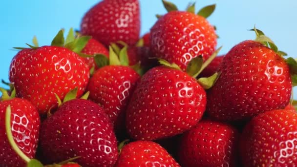Κόκκινες ώριμες φράουλες σε μπλε φόντο - Πλάνα, βίντεο