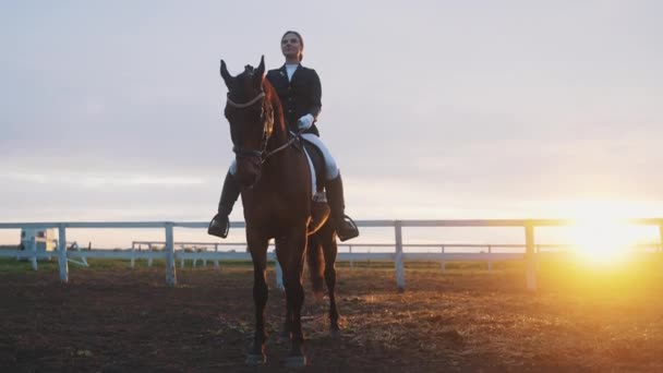 Dívka sedí rovně na zádech koně z temného zálivu v Sandy Aréně - západ slunce - Záběry, video
