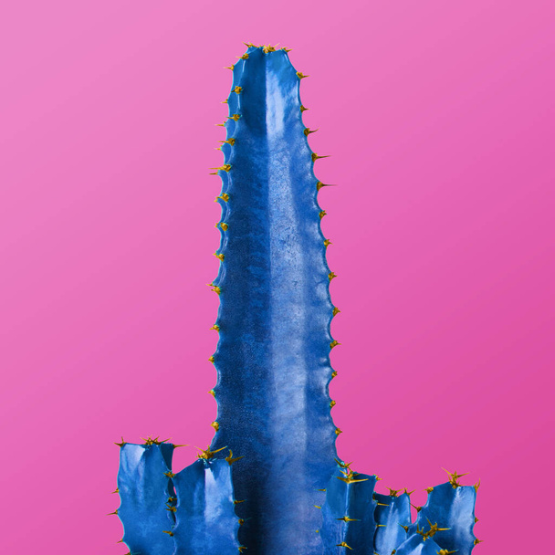 Blue cactus on pink background. Creative design - Fotoğraf, Görsel