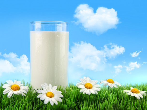 glas melk in het gras met madeliefjes en blauwe hemel - Foto, afbeelding