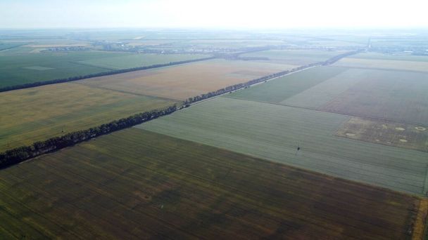 Aerial drone view flight over different agricultural fields sown - Photo, Image