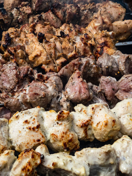 Close up of different kinds of meat on metal skewers - pork and chicken grilling on fire, coals and smoke in grill. Macro of herbed and seasoned cubes of meat. Picnic and grilling meat in summer - Photo, Image