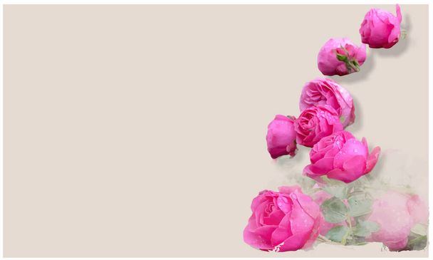 Розовые розы композиция, идея карты, розы на бежевый - Вектор,изображение