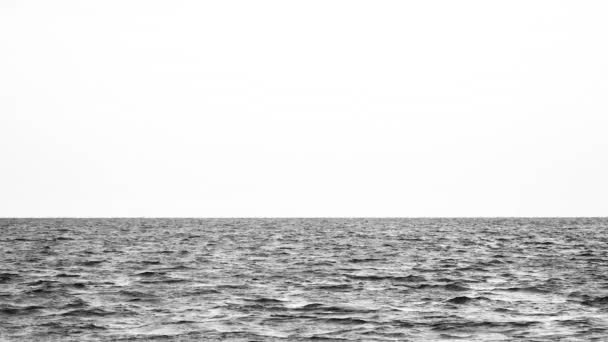 View over calm sea or ocean with beautiful evening sun reflection. Landscapes view of endless sea water and sky in summer evening. Black and white video. Banner with copy space - Footage, Video