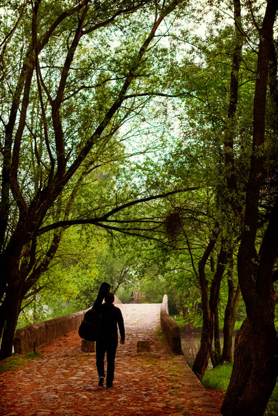 Jongeman dragen gitaar tas tijdens het lopen door het bos - Foto, afbeelding