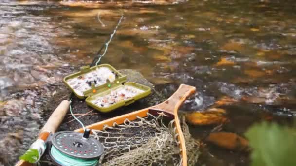 legyező horgászat hegyi patak - Felvétel, videó