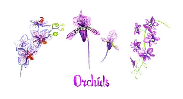 Orchid flowers (Phalaenopsis, Paphiopedlium, Dendrobium) collection isolated on white hand painted watercolor illustration with handwritten inscription - Foto, Imagem